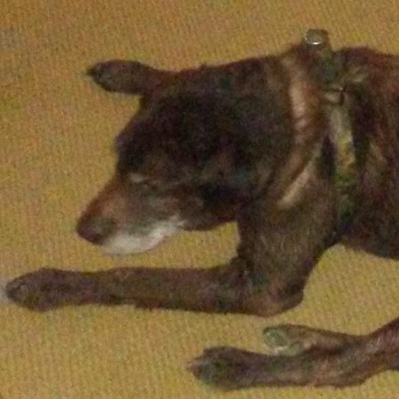 Meet your Posher, Bradley - Picture 1 of 1